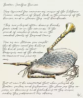 Bretonische Robbenfell-Binioù, Zeichnung einer fiktiven Binioù (typisch Bretonische Sackpfeife) mit einem Sack aus Robbenfell